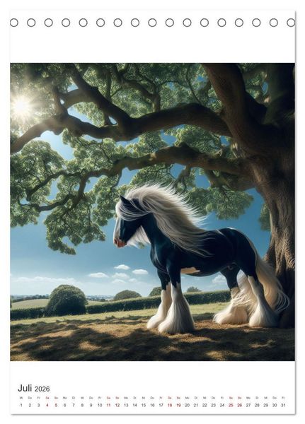 Produktbild: Gypsy Vanner Tinker - die majest&auml;tische Sch&ouml;nheit der Tinker-Pferde (Tischkalender 2026 DIN A5 hoch), CALVENDO Monatskalender