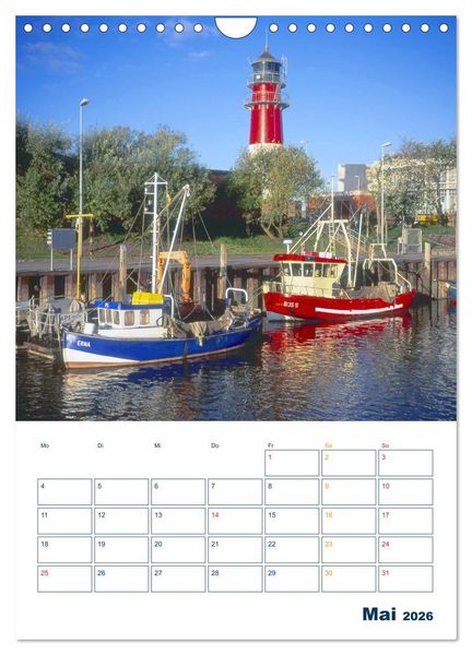 Produktbild: Vielseitiges B&uuml;sum (Wandkalender 2026 DIN A4 hoch), CALVENDO Monatskalender