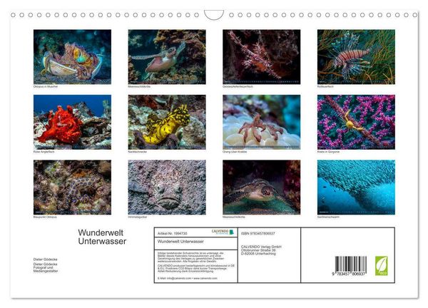 Produktbild: Wunderwelt Unterwasser (Wandkalender 2026 DIN A3 quer), CALVENDO Monatskalender