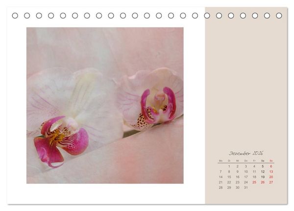 Produktbild: Bl&uuml;tentr&auml;ume (Tischkalender 2026 DIN A5 quer), CALVENDO Monatskalender