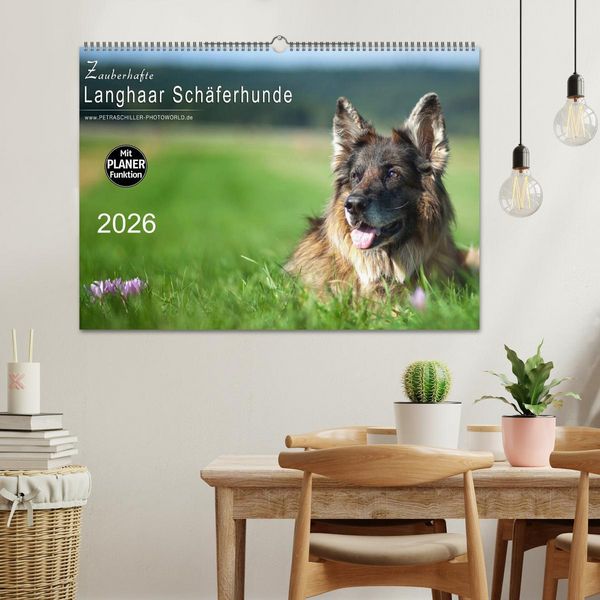 Produktbild: Zauberhafte Langhaar Sch&auml;ferhunde (Wandkalender 2026 DIN A2 quer), CALVENDO Monatskalender