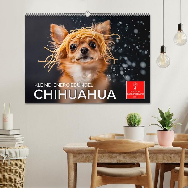 Produktbild: Chihuahua - kleine Energieb&uuml;ndel (Wandkalender 2026 DIN A2 quer), CALVENDO Monatskalender