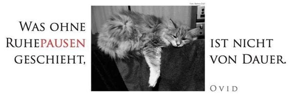 Produktbild: Der literarische Katzen Wochenplaner 2027