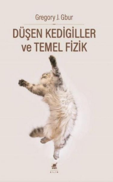 Produktbild: D&uuml;sen Kedigiller ve Temel Fizik