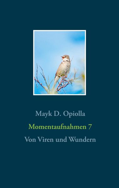 Produktbild: Momentaufnahmen 7