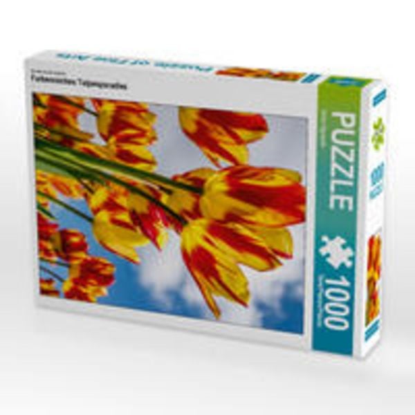 CALVENDO Puzzle Ein Motiv aus dem Kalender Farbenreiches Tulpenparadies | 1000 Teile Lege-Größe 64x48cm Foto-Puzzle für glückliche Stunden