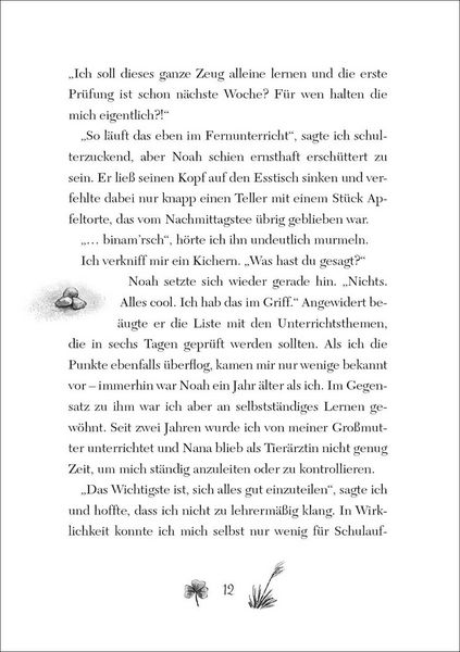 Produktbild: Ruby Fairygale (Band 4) - Das Tor zur Feenwelt