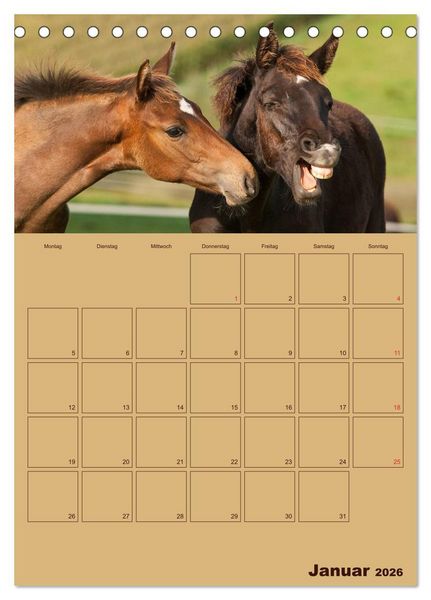 Produktbild: Pferde Gute Freunde (Tischkalender 2026 DIN A5 hoch), CALVENDO Monatskalender