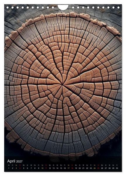 Produktbild: Geometrie der Natur &ndash; Formen, Muster, Strukturen (Wandkalender 2027 DIN A4 hoch), CALVENDO Monatskalender