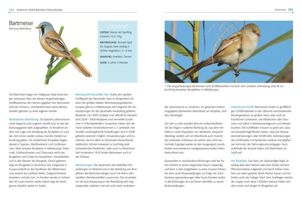 Produktbild: Das BLV Handbuch V&ouml;gel
