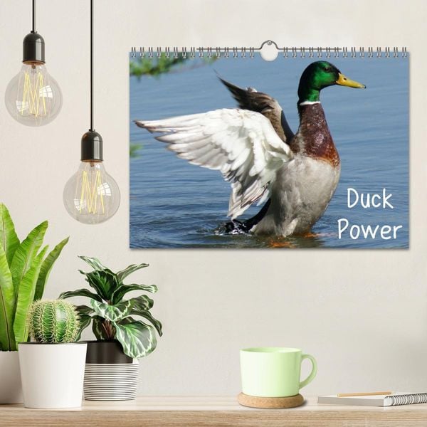 Produktbild: Duck Power (Wandkalender 2026 DIN A4 quer), CALVENDO Monatskalender