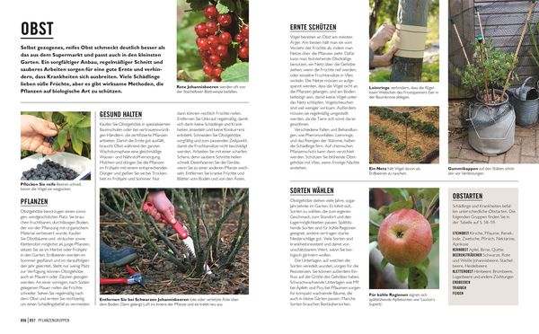 Produktbild: Gr&uuml;nes Gartenwissen. Krankheiten und Sch&auml;dlinge