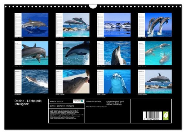 Produktbild: Delfine - L&auml;chelnde Intelligenz (Wandkalender 2026 DIN A3 quer), CALVENDO Monatskalender