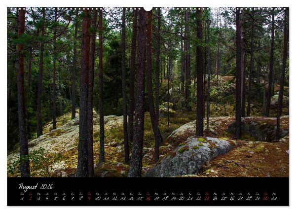Produktbild: Wald (hochwertiger Premium Wandkalender 2026 DIN A2 quer), Kunstdruck in Hochglanz