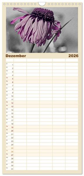 Produktbild: Familienplaner 2026 - Momente in Rosa mit 5 Spalten (Wandkalender, 21 x 45 cm) CALVENDO