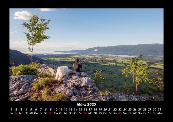 Produktbild: B&auml;ume 2025 Fotokalender DIN A3