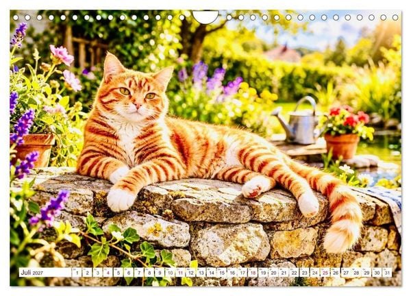 Produktbild: Rote Katzen (Wandkalender 2027 DIN A4 quer), CALVENDO Monatskalender