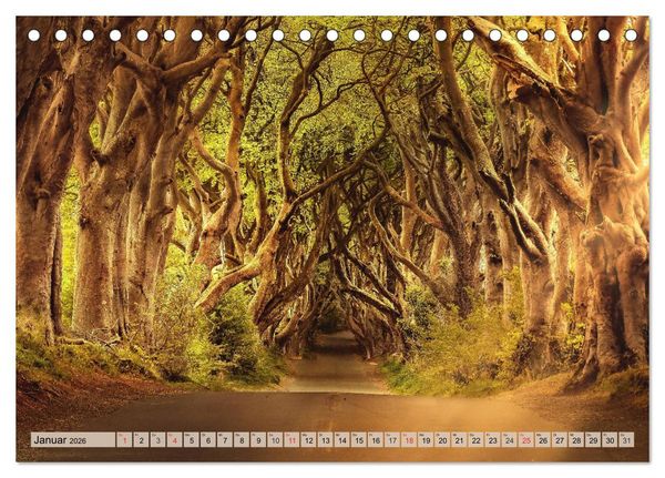 Produktbild: Leise durch den Wald. Sich Zeit nehmen und der Stille lauschen (Tischkalender 2026 DIN A5 quer), CALVENDO Monatskalender