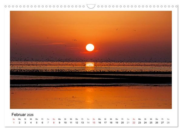 Produktbild: Ostfriesland - Tour (Wandkalender 2026 DIN A3 quer), CALVENDO Monatskalender