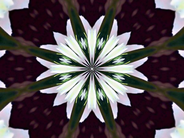 Produktbild: CALVENDO Puzzle Blume des Lebens | 1000 Teile Lege-Gr&ouml;&szlig;e 64x48cm Foto-Puzzle f&uuml;r gl&uuml;ckliche Stunden