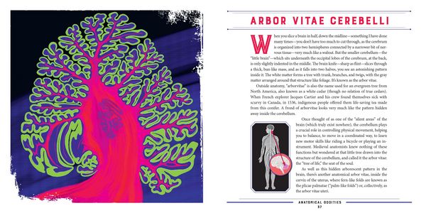 Produktbild: Anatomical Oddities