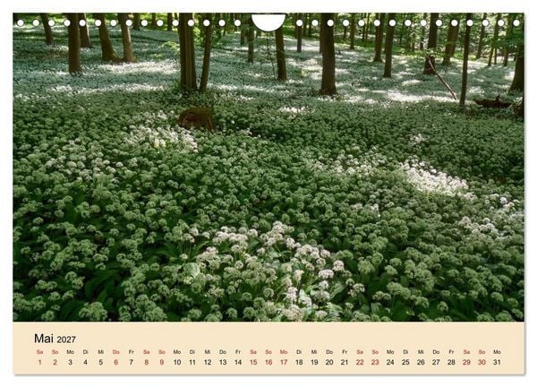 Produktbild: Franken - eine Region voller Naturwunder (Wandkalender 2027 DIN A4 quer), CALVENDO Monatskalender