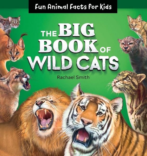 Produktbild: The Big Book of Wild Cats