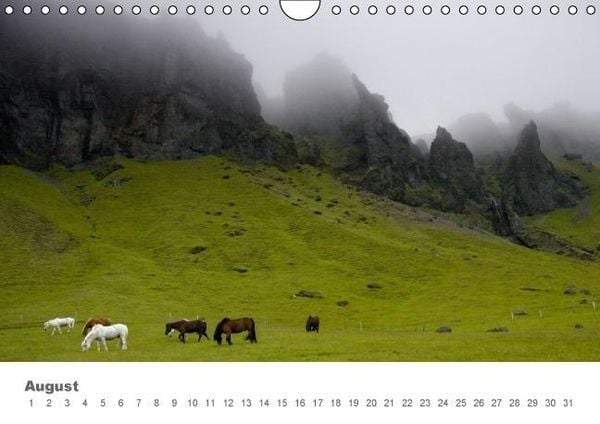 Produktbild: Islandpferde: Gef&auml;hrten der Wikinger (Wandkalender immerw&auml;hrend DIN A4 quer)