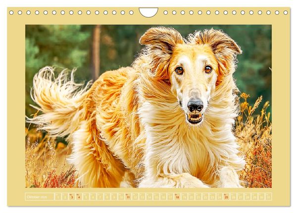 Produktbild: Windhunde. Seelenfl&uuml;sterer zwischen Anmut, Tempo und Stille (Wandkalender 2026 DIN A4 quer), CALVENDO Monatskalender