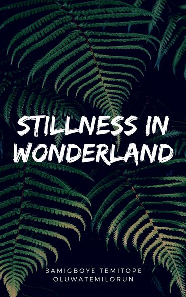 Produktbild: Stillness In Wonderland