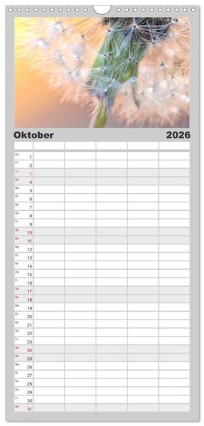 Produktbild: Familienplaner 2026 - Naturjuwel Pusteblume mit 5 Spalten (Wandkalender, 21 x 45 cm) CALVENDO