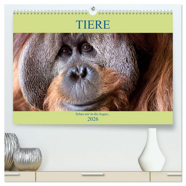 Produktbild: Tiere Schau mir in die Augen (hochwertiger Premium Wandkalender 2026 DIN A2 quer), Kunstdruck in Hochglanz