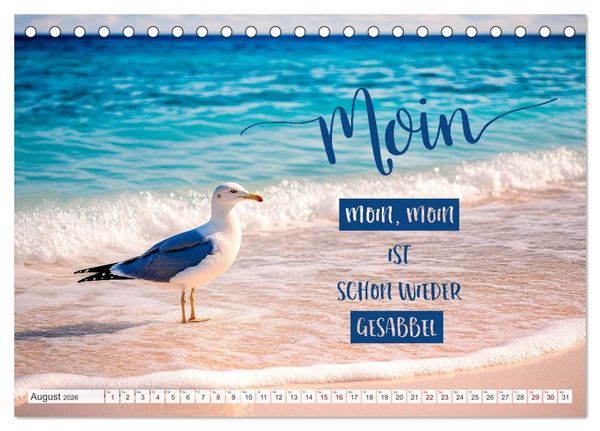 Produktbild: Meerblick und Plattschnack (Tischkalender 2026 DIN A5 quer), CALVENDO Monatskalender