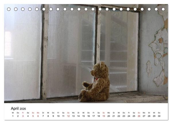 Produktbild: Teddys...jeder liebt sie (Tischkalender 2026 DIN A5 quer), CALVENDO Monatskalender
