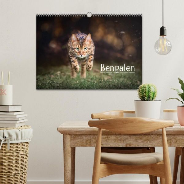 Produktbild: Bengalen Outdoor und Action (Wandkalender 2026 DIN A3 quer), CALVENDO Monatskalender