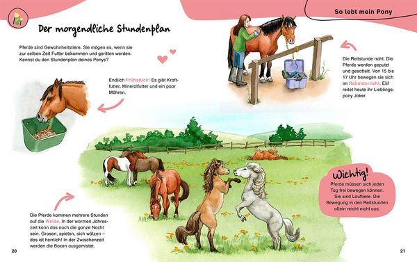 Produktbild: Mein erstes Pferdebuch