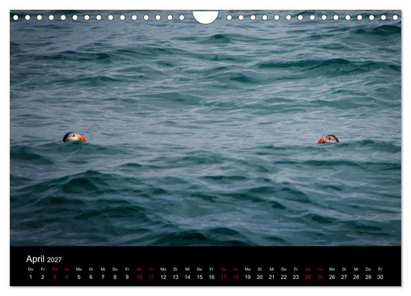 Produktbild: Island - Unber&uuml;hrte Landschaften (Wandkalender 2027 DIN A4 quer), CALVENDO Monatskalender