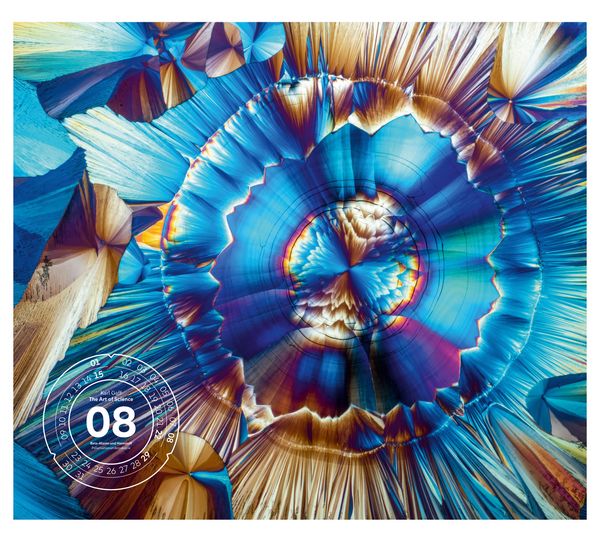 Produktbild: The Art of Science Kalender 2027 | Faszinierend-irisierende Mikroskopkunst