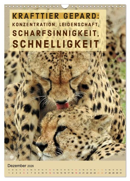 Produktbild: Afrikanische Krafttiere und deren Bedeutung (Wandkalender 2026 DIN A3 hoch), CALVENDO Monatskalender
