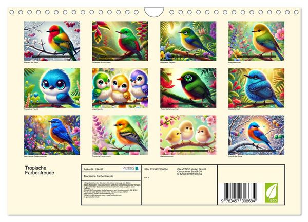 Produktbild: Tropische Farbenfreude (Wandkalender 2026 DIN A4 quer), CALVENDO Monatskalender