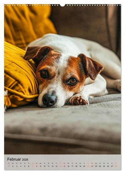 Produktbild: Jack Russel Terrier - furchtlos und viel Selbstvertrauen (Wandkalender 2026 DIN A2 hoch), CALVENDO Monatskalender