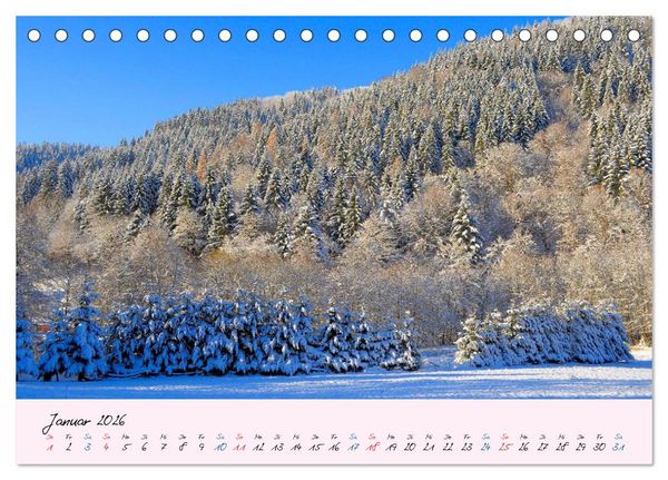 Produktbild: Wald und Baum 2026 (Tischkalender 2026 DIN A5 quer), CALVENDO Monatskalender
