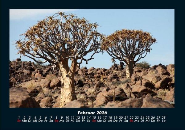 Produktbild: B&auml;ume 2026 Fotokalender DIN A4