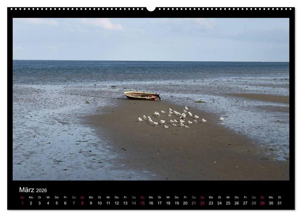 Produktbild: Texel, eine Perle Hollands (hochwertiger Premium Wandkalender 2026 DIN A2 quer), Kunstdruck in Hochglanz
