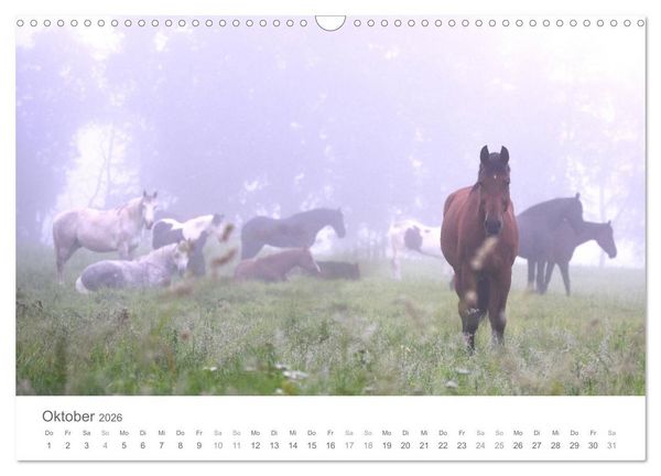 Produktbild: M&auml;rchenpferde (Wandkalender 2026 DIN A3 quer), CALVENDO Monatskalender