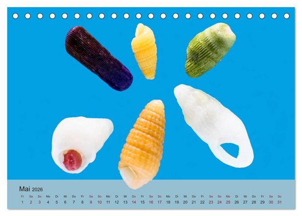 Produktbild: rosaroter korallensand (Tischkalender 2026 DIN A5 quer), CALVENDO Monatskalender