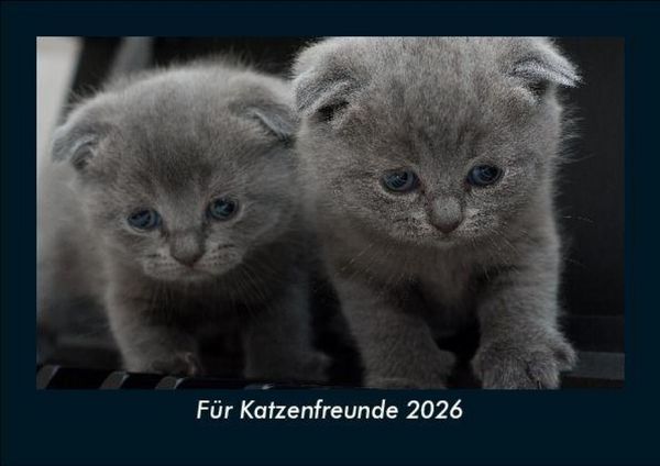 Produktbild: F&uuml;r Katzenfreunde 2026 Fotokalender DIN A5