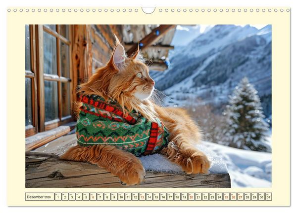 Produktbild: Katzen-Divas beim alpinen Fotoshoot. Extravagante Katzenmode (Wandkalender 2026 DIN A3 quer), CALVENDO Monatskalender