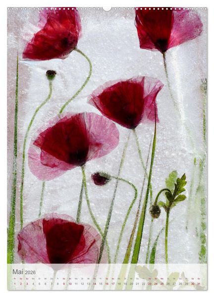 Produktbild: Blumen in Eis (Wandkalender 2026 DIN A2 hoch), CALVENDO Monatskalender