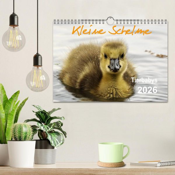 Produktbild: Kleine Schelme - Tierbabys (Wandkalender 2026 DIN A4 quer), CALVENDO Monatskalender